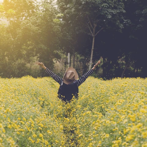 Young woman in a yellow flower field with her arms raised