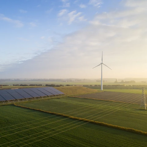 Windmills and green field