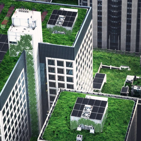 Skyscrapers with green plants on rooftops
