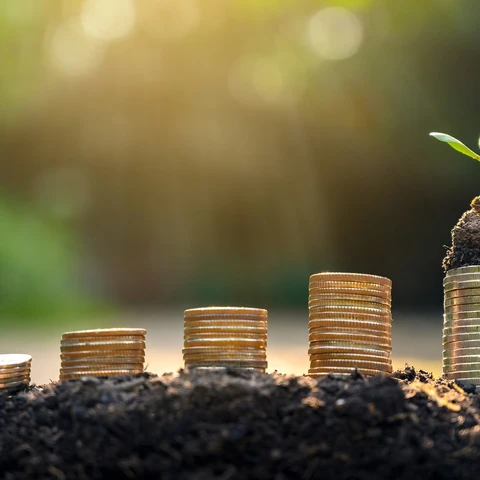 coins_greenshoot