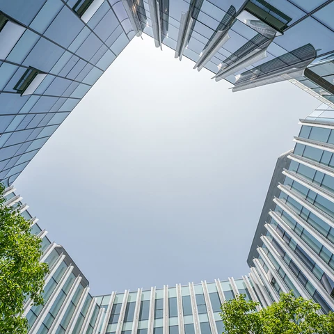 skyscrapers_trees
