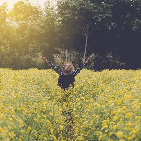 Young woman in yellow flower field
