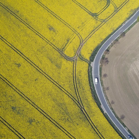 Aerial view of rural road with traffic and rapeseed field
