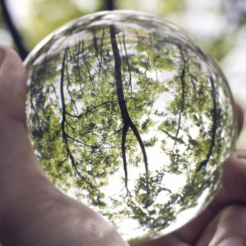 Hand holding crystal ball in forest