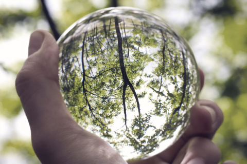 Hand holding crystal ball in forest