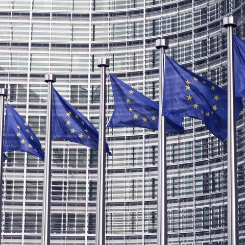 European flags in Brussels
