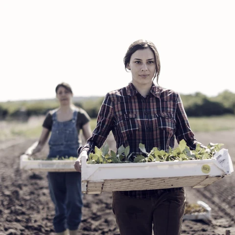 Female farmers with young plants