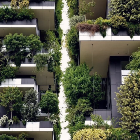 Potted plants on balcony against building in Milan, Italy