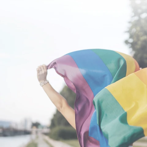person holding pride flag high