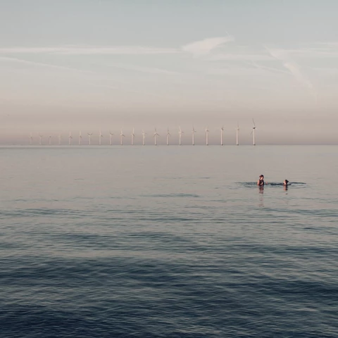 Two people swimming in front of windmills