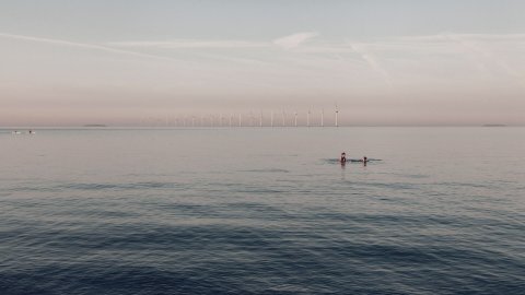 Two people swimming in front of windmills