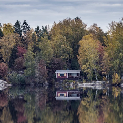 Scenic view of lake by trees during autumn