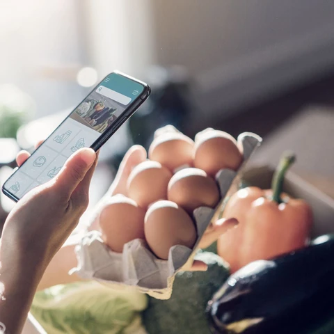 young-woman-ordering-groceries-online-with-smartphone.jpg
