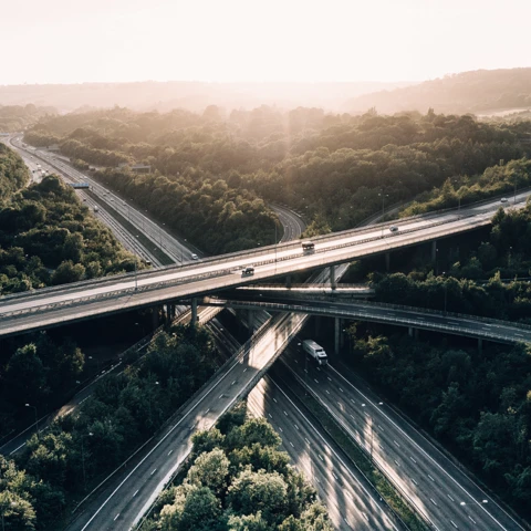 Intersecting highways with trees