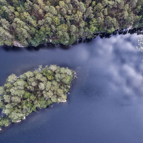 Island with trees and a lake seen from above