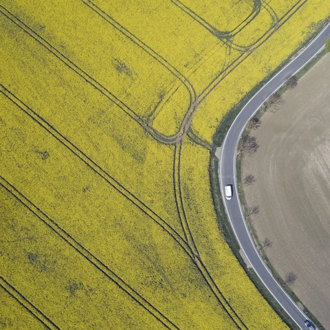 Aerial view of rural road with traffic and oilseed rape field