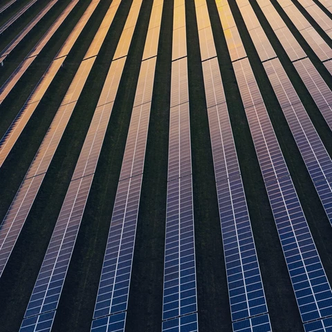 Solar panels in rows at dusk