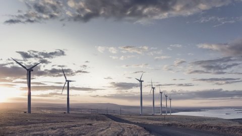 A group of wind turbines standing next to a road in a moorland landscape on the coast at dawn.