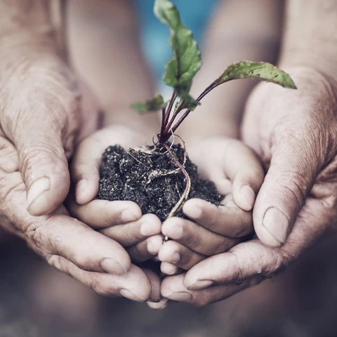 Closeup shot of an adult and child holding a plant growing out of soil