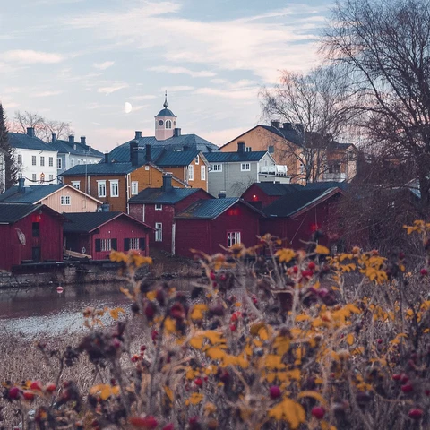 Plants and houses against sky during autumn