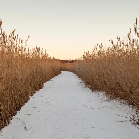 Footpath covered in snow, Finland