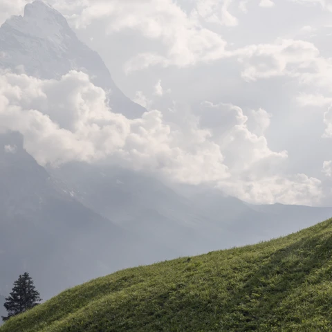 Hiking couple in an alpine meadow