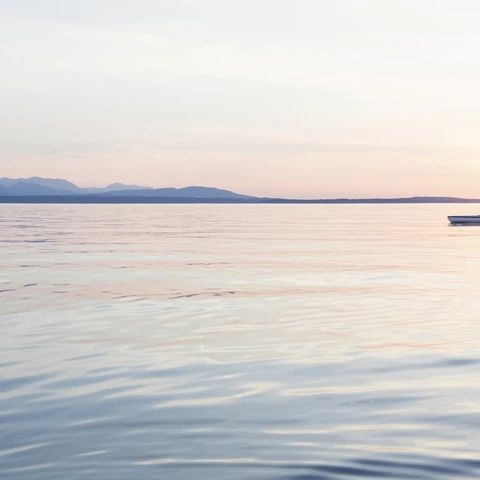 Two people kayaking together at sunset
