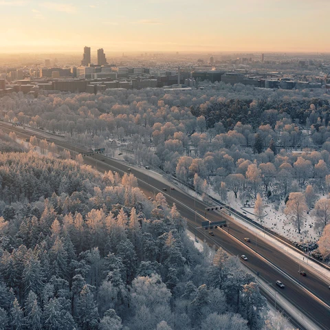 Swedish landscape