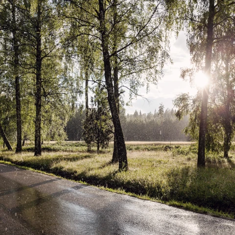 View of rainy and sunny country road