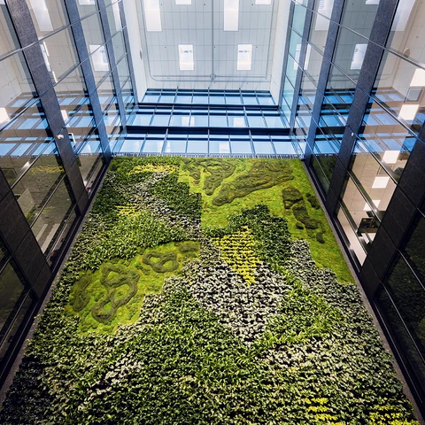 a green wall in an office building