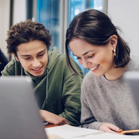 Young people studying