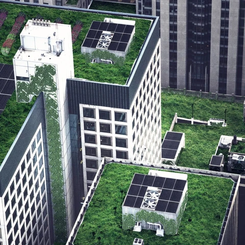 Tall buildings with green rooftops