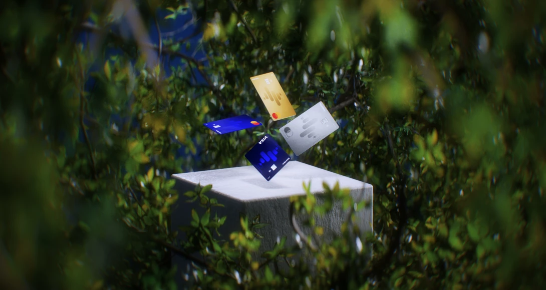 cards in forest