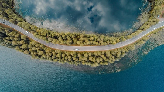 Aerial view of road and trees by the sea