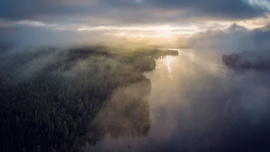 Landscape with misty forest and lake